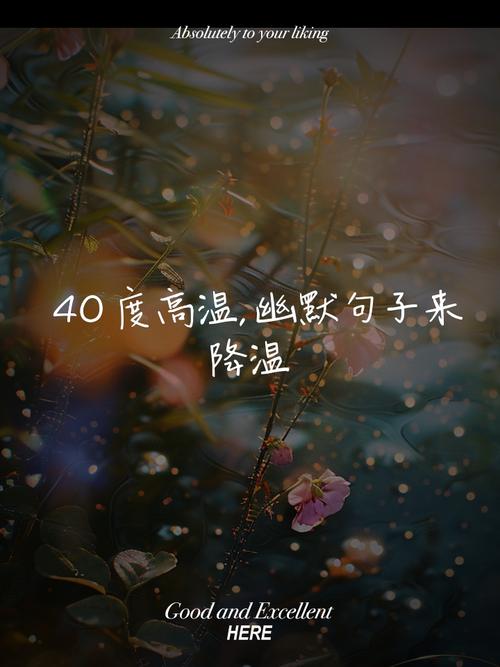 admin 第69页