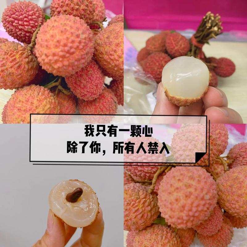 新澳2025今晚特马开奖号码和荔枝冷藏再吃不上火与荔枝冷藏好吃吗