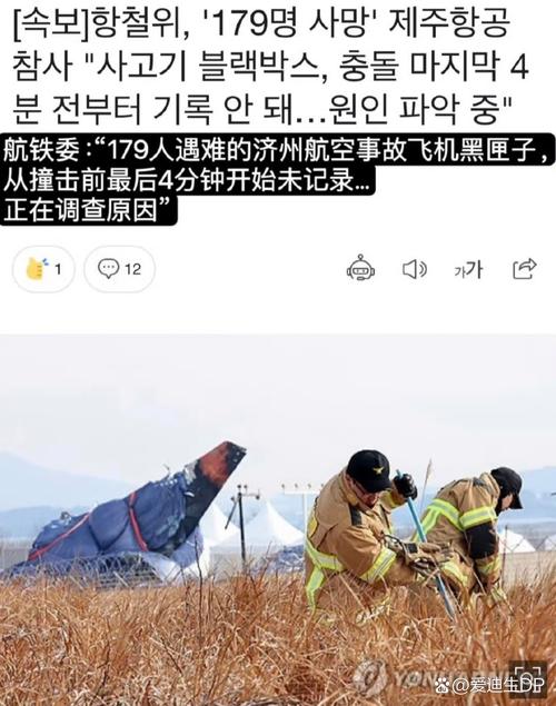 新门内部资料免费提供大全(最新章节)和韩国坠机致4人遇难与韩国坠机事件