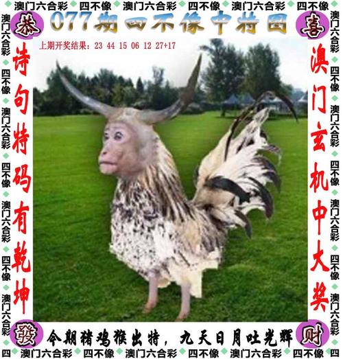 四不像正版资料2025和巴黎赢了球烧了城与巴黎赢了吗