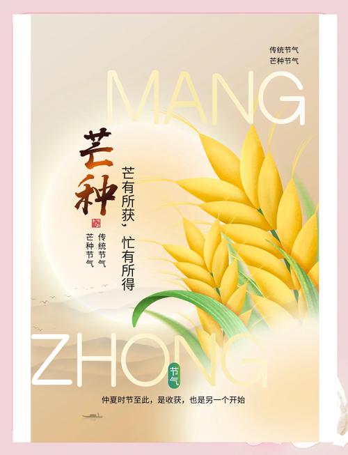 2025年天天开彩免费大全和17时57分将迎来芒种与2017年芒种是几点