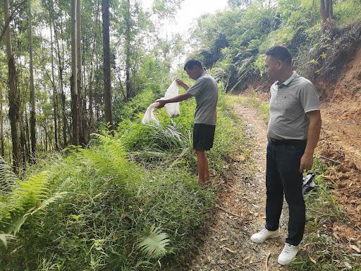 2025澳门今晚开奖结果和放生毒蛇有人被咬伤与放生毒蛇有人被咬伤怎么办